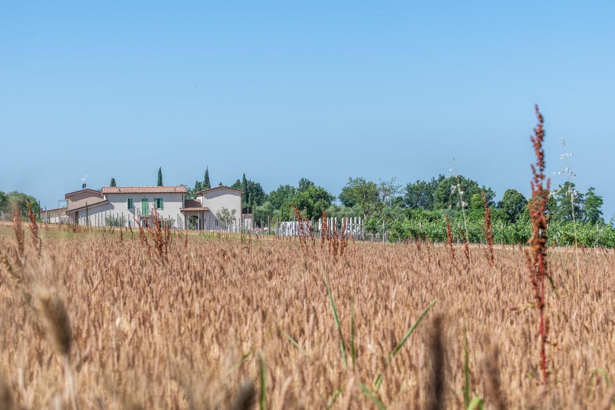 Natiia Relais - Adults Only Hotel Lazise Ngoại thất bức ảnh